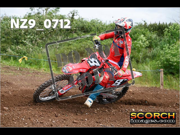 Experts-242