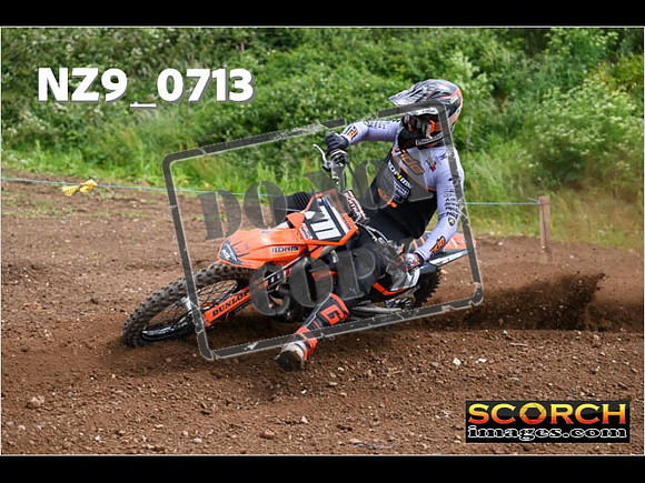 Experts-243