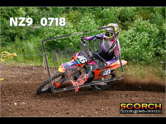 Experts-246