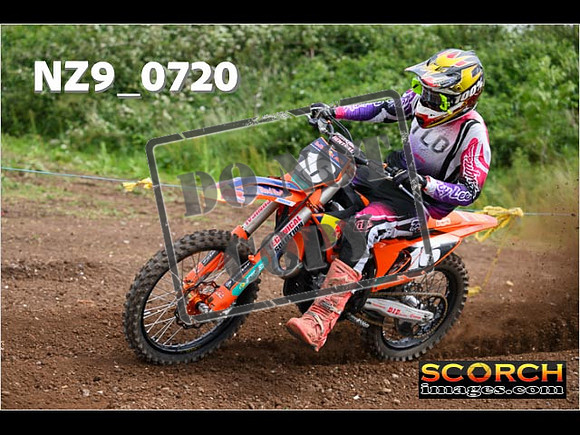 Experts-248