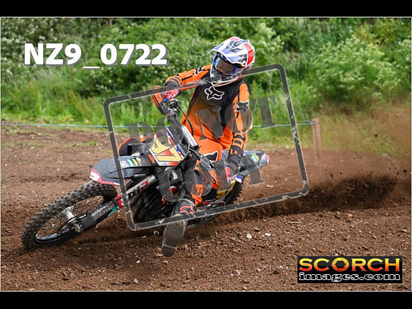 Experts-250