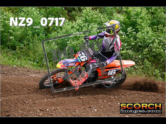 Experts-245
