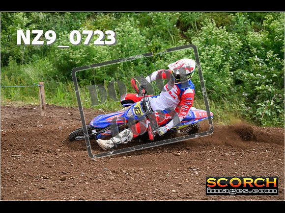 Experts-251