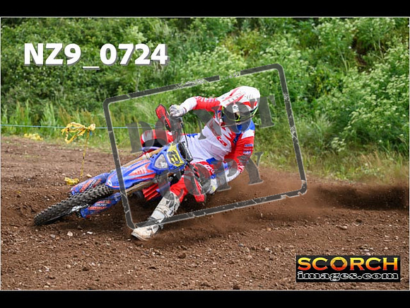 Experts-252