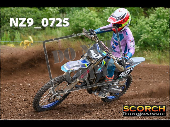 Experts-253