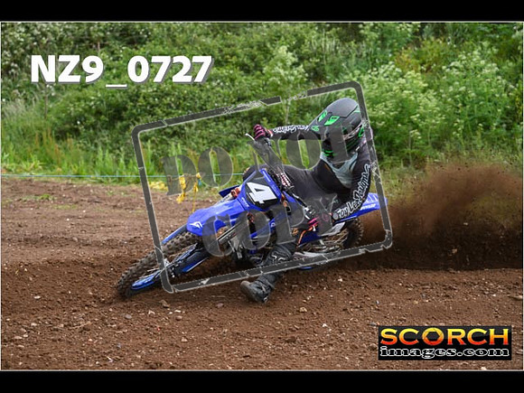 Experts-254