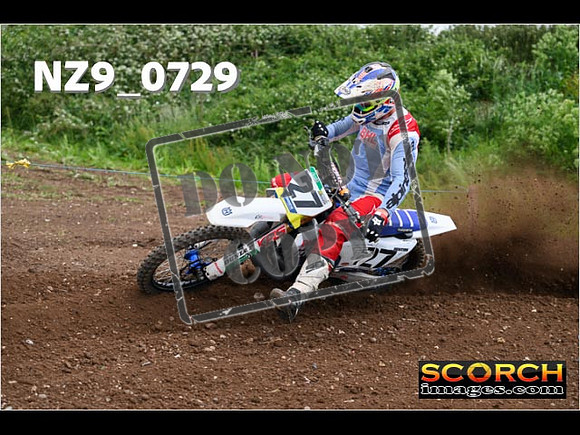 Experts-256