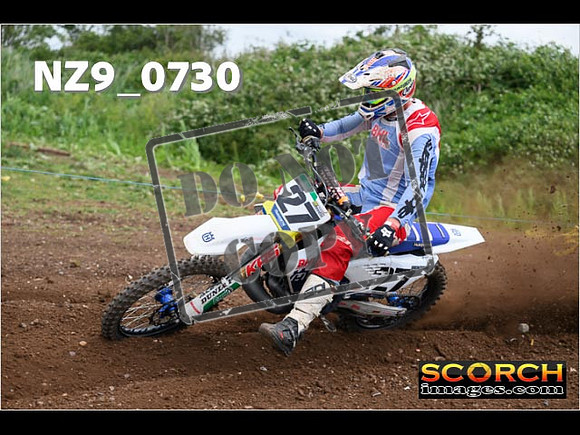 Experts-257