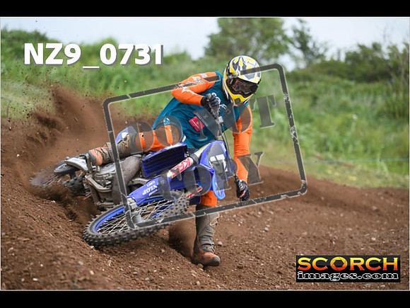 Experts-258