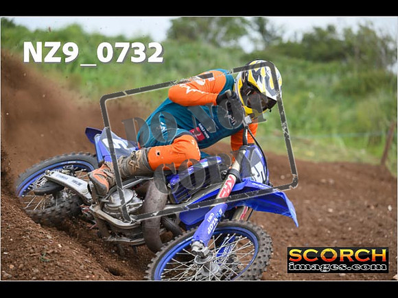 Experts-259