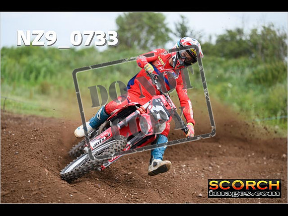Experts-260