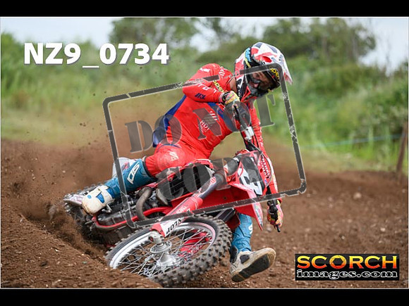 Experts-261