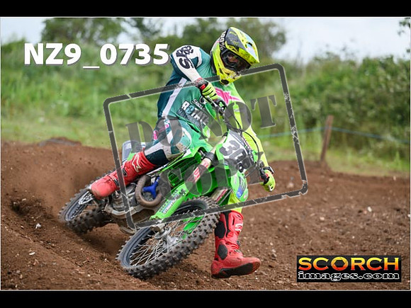 Experts-262