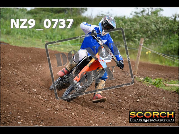 Experts-264