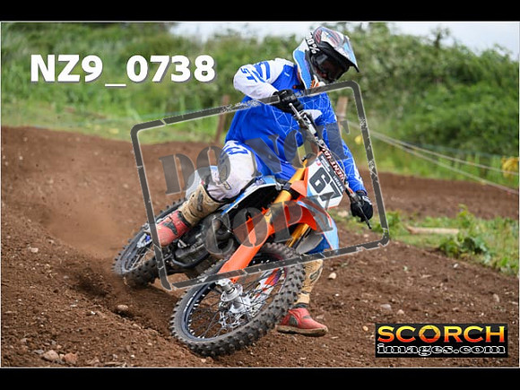 Experts-265