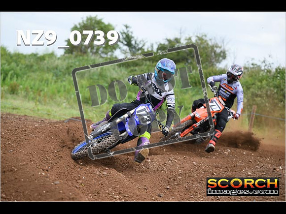 Experts-266
