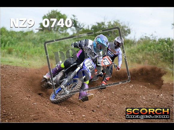 Experts-267
