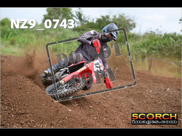 Experts-269