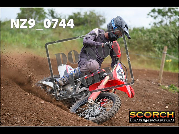Experts-270