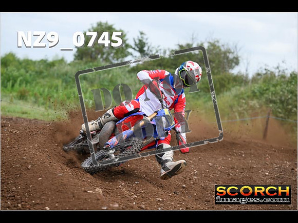 Experts-271