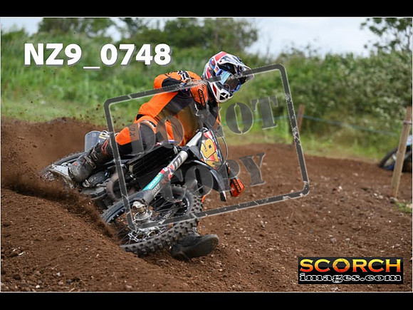 Experts-273