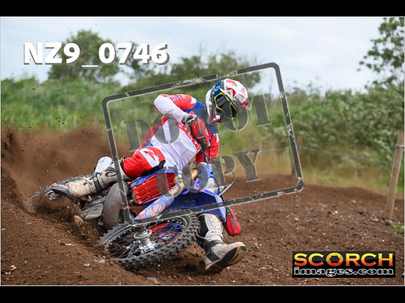 Experts-272