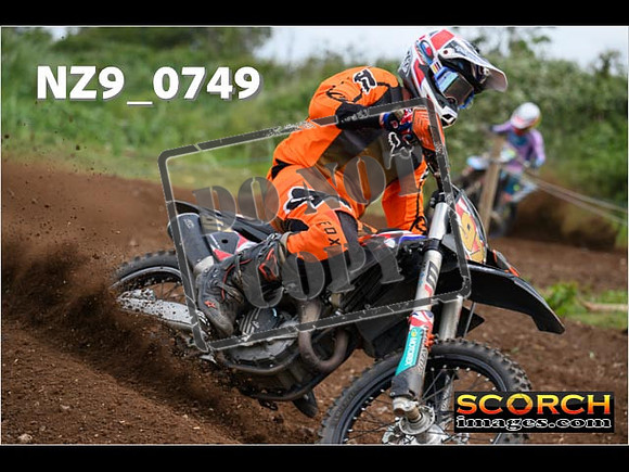 Experts-274
