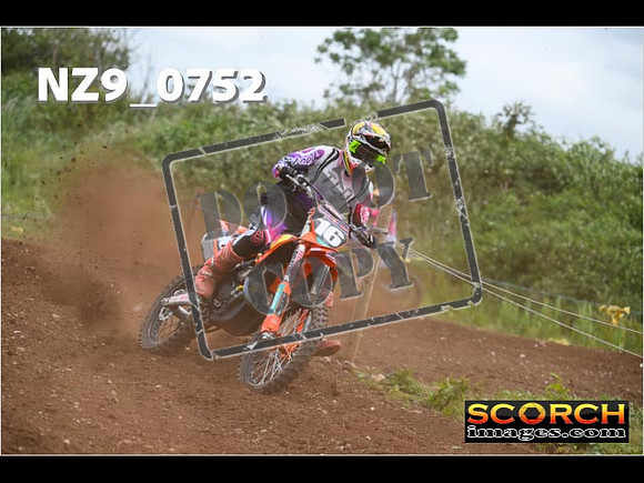Experts-277
