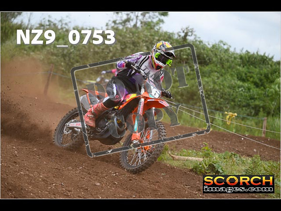 Experts-278