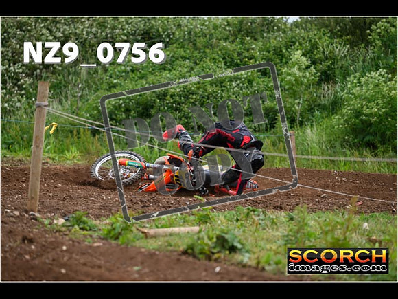 Experts-281