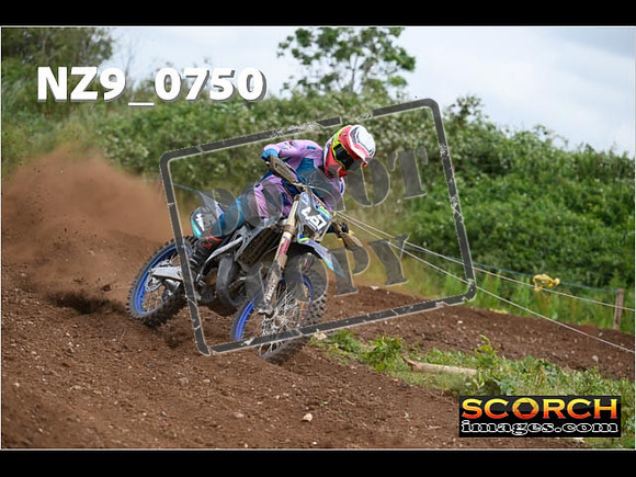 Experts-275