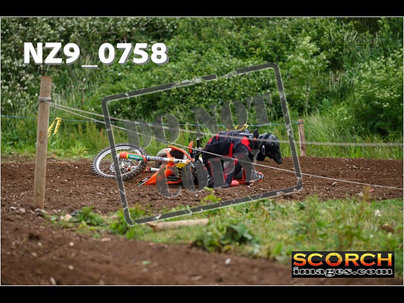 Experts-283