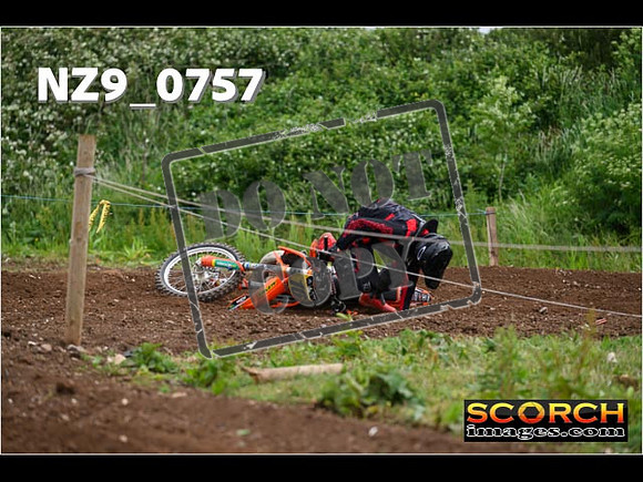 Experts-282
