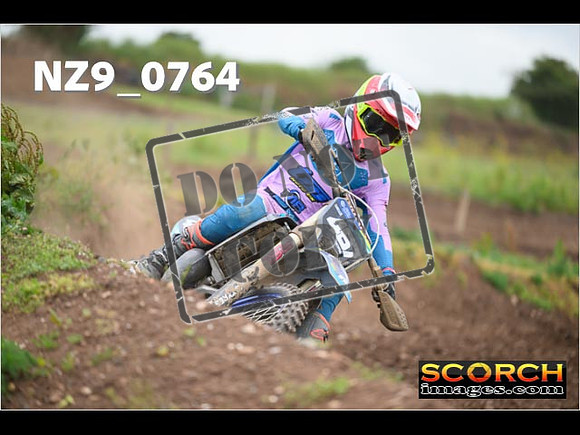 Experts-289