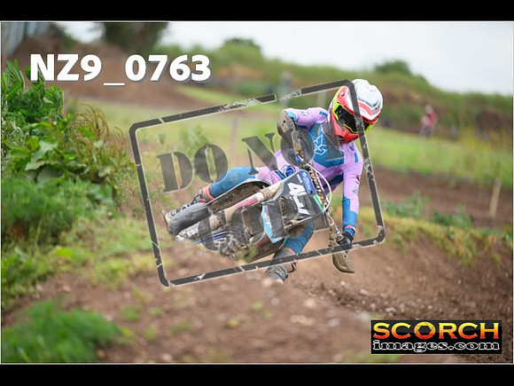 Experts-288