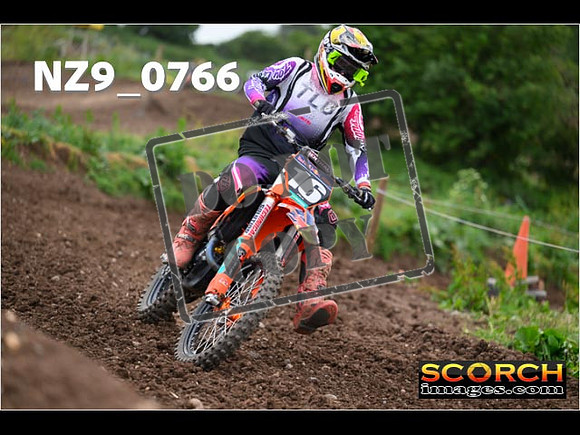 Experts-290