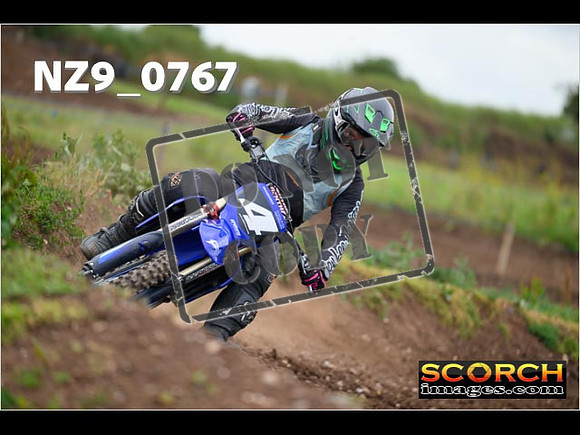 Experts-291