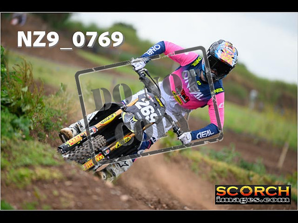 Experts-293