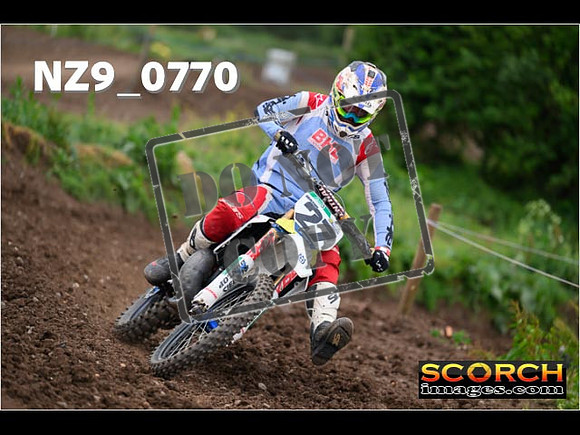 Experts-294
