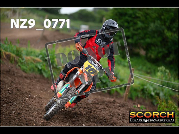 Experts-295
