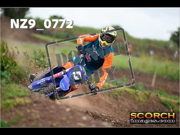 Experts-296