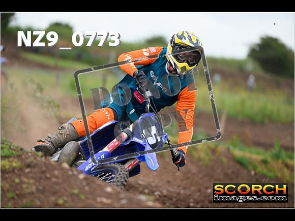 Experts-297