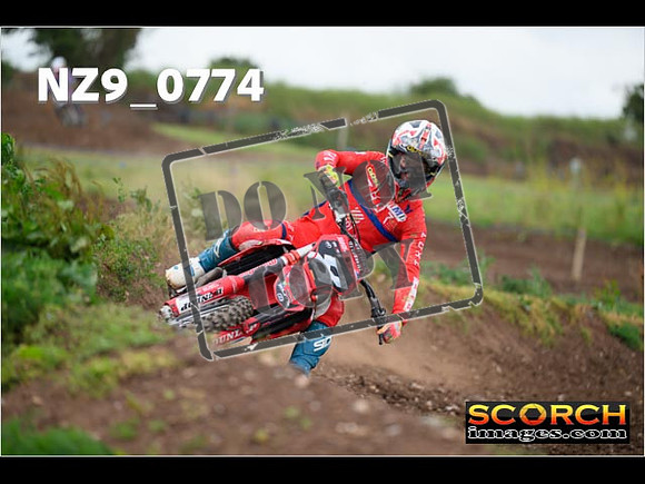 Experts-298