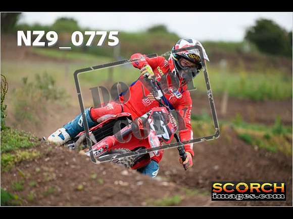 Experts-299