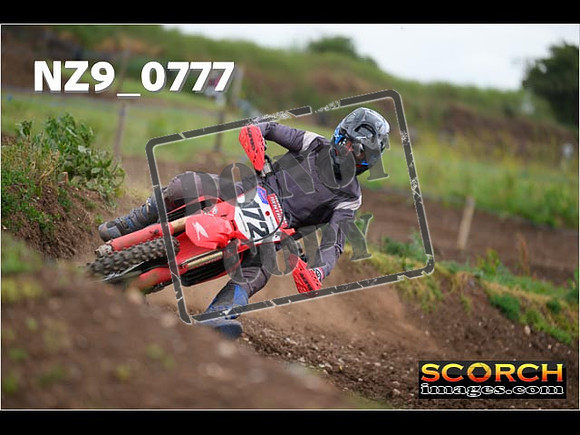Experts-301