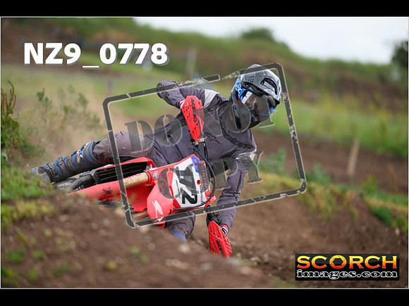 Experts-302