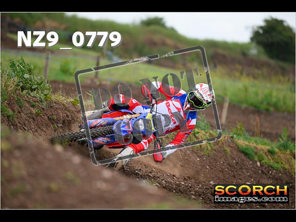 Experts-303