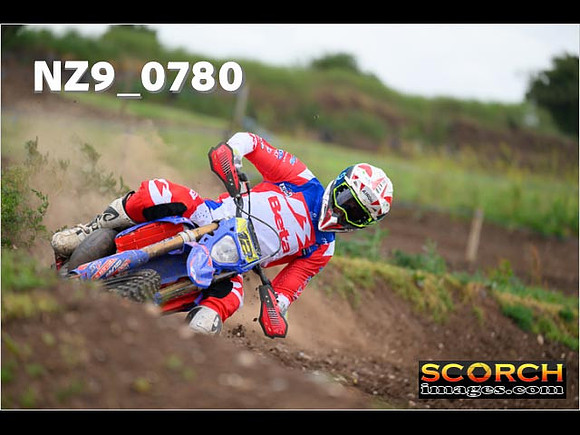 Experts-304