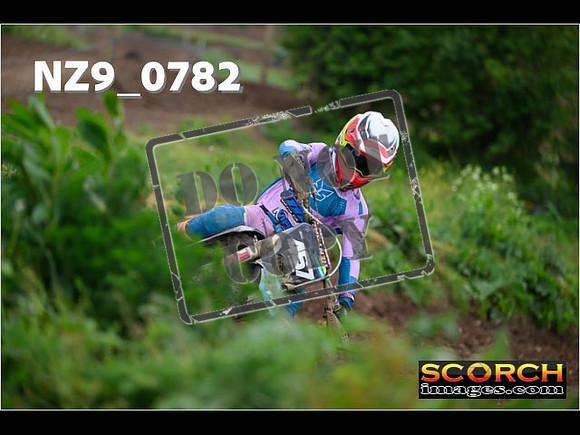 Experts-306