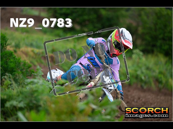 Experts-307